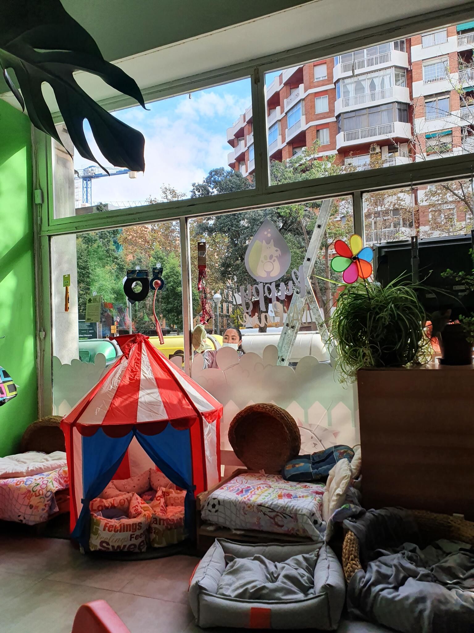 Escaparate del local con una carpa de circo para perros, camitas y plantas junto a la ventana