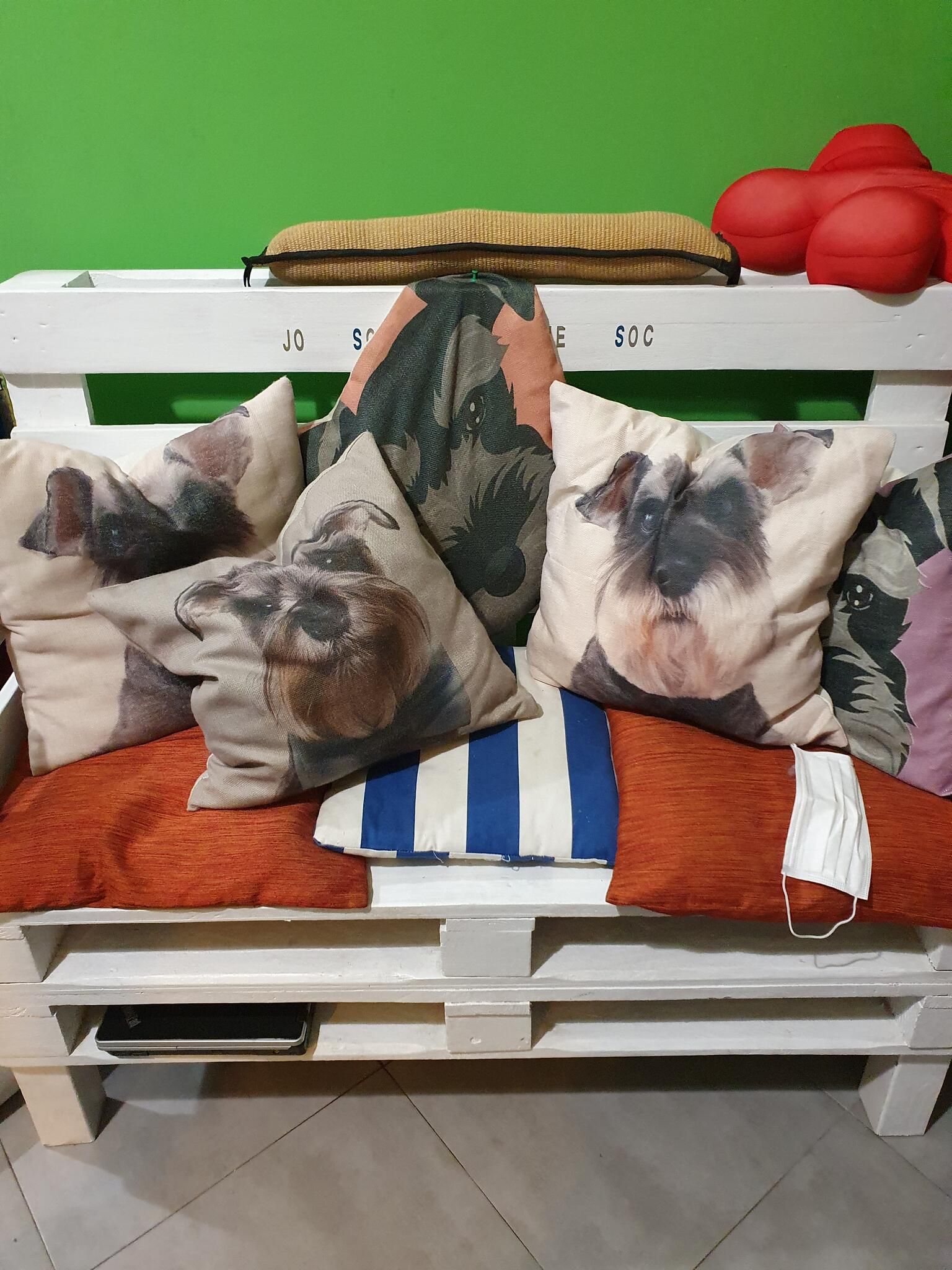 Sofá de palés con cojines estampados con schnauzers, delante de la pared verde del local